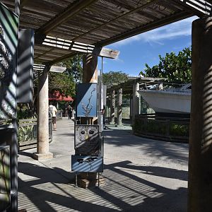 Education outside Burrowing Owl Aviary