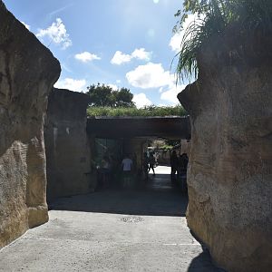 Area to the NARO / American Crocodile