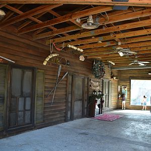 American Black Bear & Terrariums Building