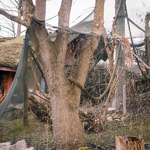 Squirrel Monkey outdoor enclosure next to the playground