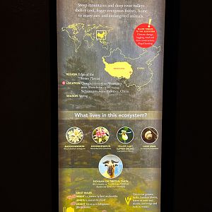 Sichuan Takin Diorama Sign