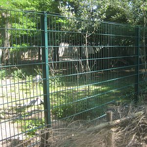 Berlin Tierpark - White-naped crane exhibit