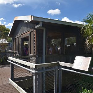Florida Area - Eagle Aviary