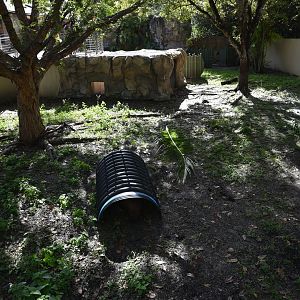 Southern Hairy-Nosed Wombat Habitat
