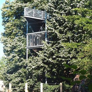 Tree-top walk Asian elephant viewing areas, 2022-07-16