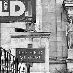 Field Museum