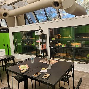 Tree Hill Nature Center - Rattlesnake Conservancy room