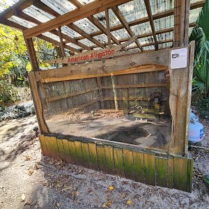 Tree Hill Nature Center - Alligator enclosure
