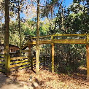 Tree Hill Nature Center - Goat bridge