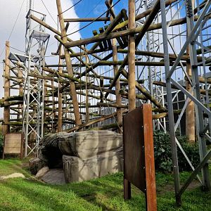 Chimpanzees outdoor exhibit