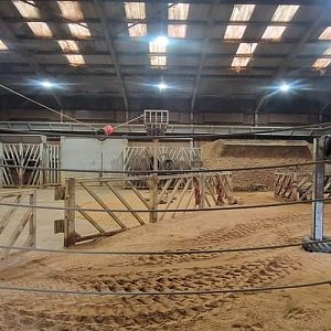 African Elephant house