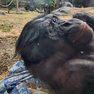 Jacksonville Zoo (2023) - Smiling for a photo