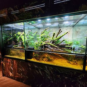 Reptopia paludariums