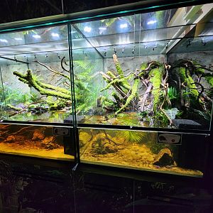 Reptopia paludariums