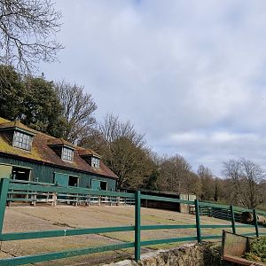 Black rhino housing and hard standing