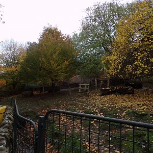 Pygmy hippo enclosure (2)