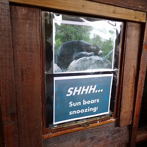 Sign on top of former sun bear feeding station