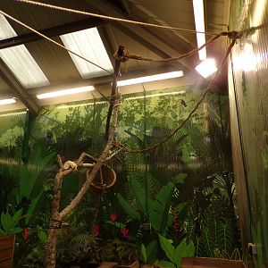 Refurbished sloth enclosure (2)
