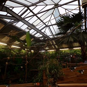 Refurbished sloth enclosure (3)