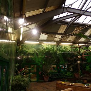 Refurbished sloth enclosure (4)