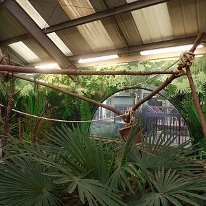 Refurbished sloth enclosure (6)