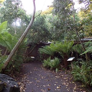 Trail going to Koala territory