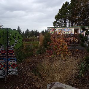 New plants outside giraffe house