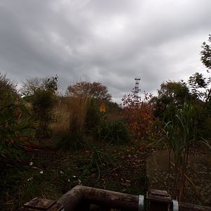 New plants outside giraffe house