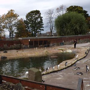 Half of the penguin enclosure