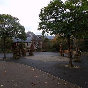 Plaza next to meerkat enclosure