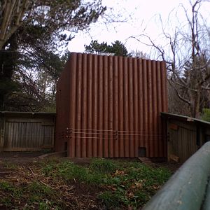 New Asian short clawed otter house