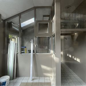 More Work On The Dusky Langur House