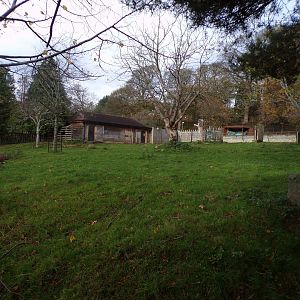 Banteng enclosure (2)