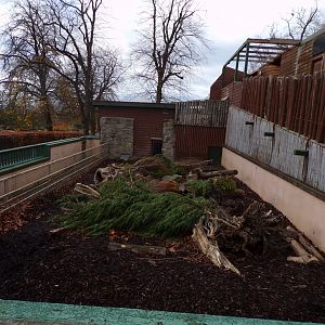 Cape porcupine enclosure