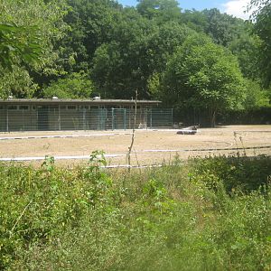Berlin Tierpark - Wildebeest exhibit
