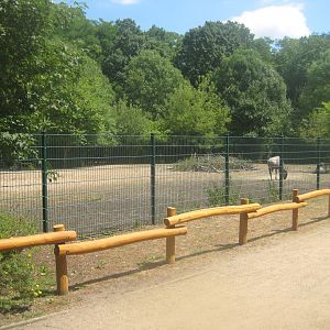 Berlin Tierpark - Wildebeest exhibit