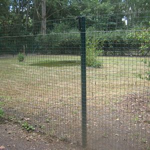 Berlin Tierpark - Black crowned-crane exhibit