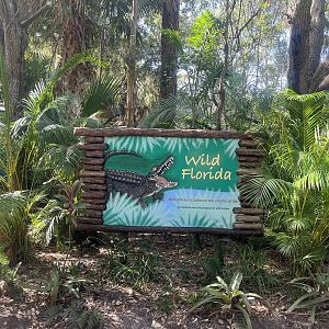 Wild Florida