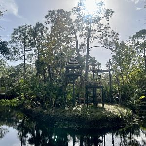 Ring-tailed Lemur Exhibit