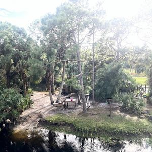 Ring-tailed Lemur Exhibit