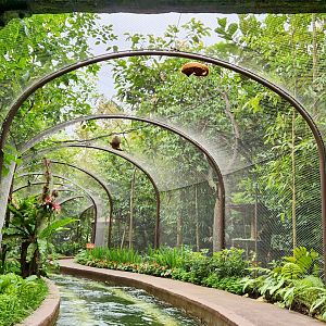 Amazon river Quest former aviary