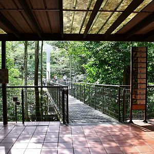 [CLOSED] African Treetops