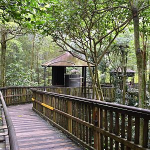 [CLOSED] African Treetops