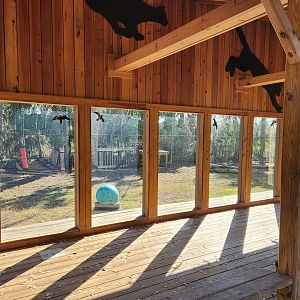 Oatland Island Wildlife Center (2023) - Cougar exhibit