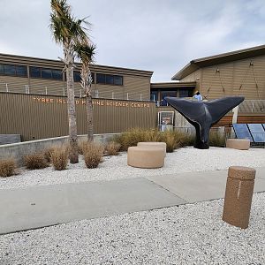 Tybee Island Marine Center - Building entrance