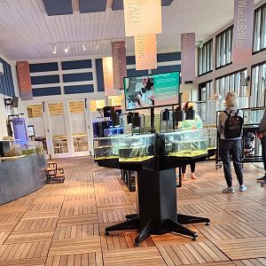 Tybee Island Marine Center - Main exhibit room