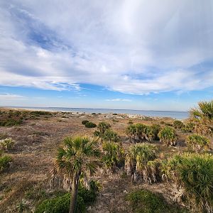 Tybee Island Marine Center - Tybee Beach view