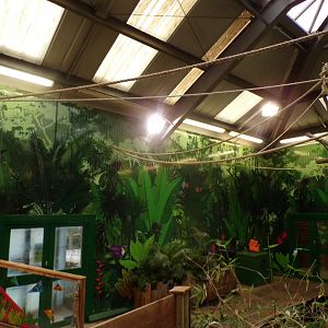 Two toed sloth overhead ropes