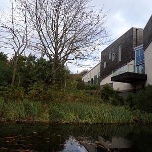 View from the bottom of Budongo trail
