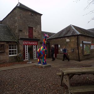 Giraffe from Edinburgh zoo